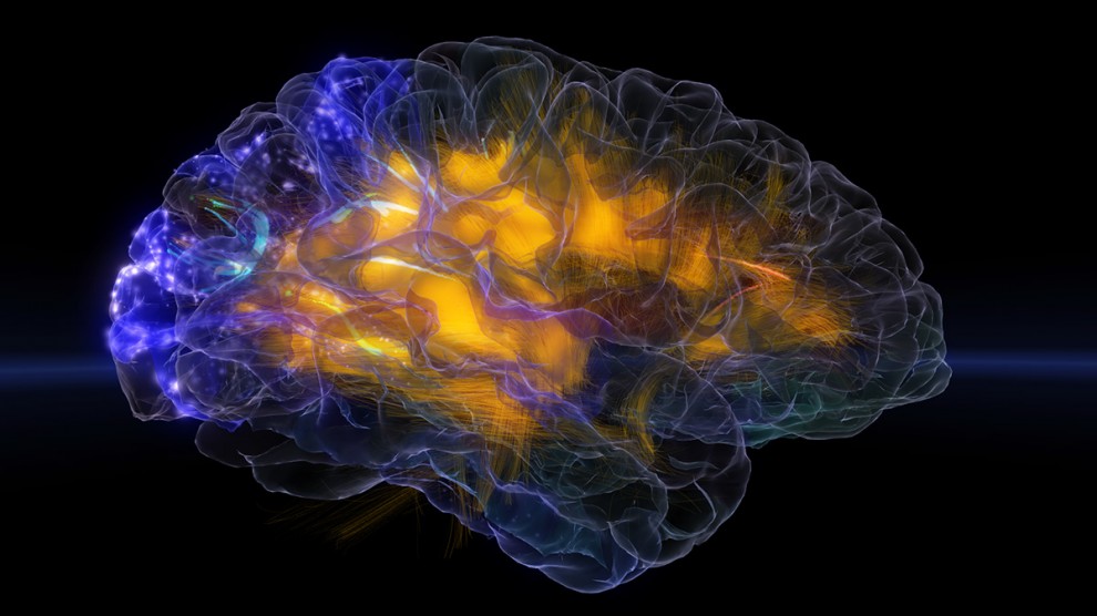 Temple Grandin "Mózg autystyczny. Podróż w głąb niezwykłych umysłów"